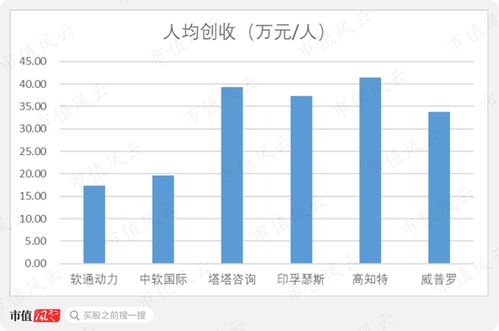 軟通動力 私有化后的曲折上市路，軟件外包巨頭能否借注冊制圓夢？
